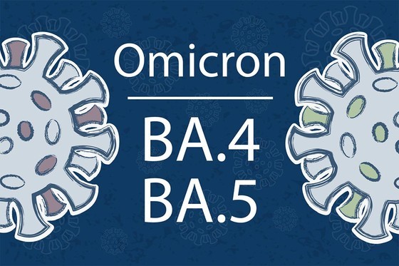 SARS-CoV-2 Omicron sub-lineage BA.5 enters Vietnam ảnh 1