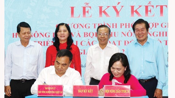 HCMC supports farmers to do business on e-commerce platforms ảnh 1