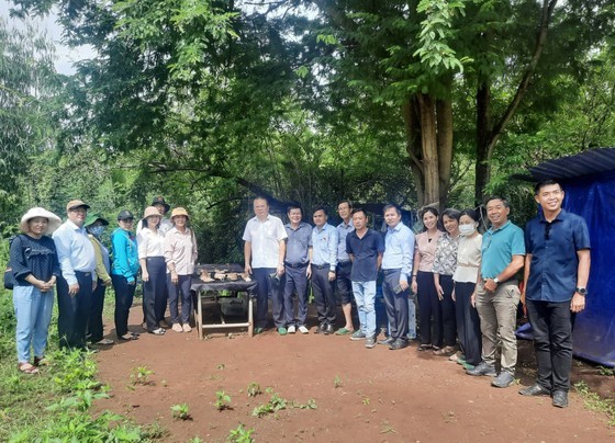 Can Gio speeds up land handover for Giong Ca Vo archaeological site ảnh 3