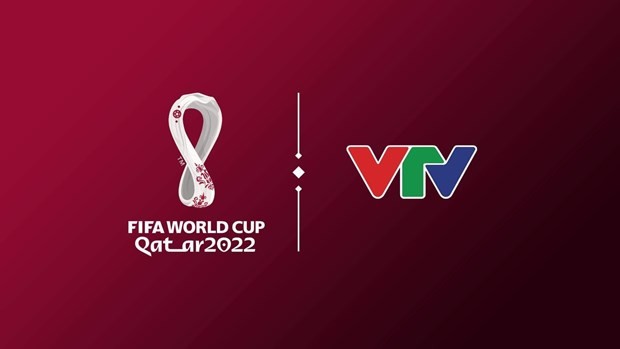 VTV officially owns FIFA World Cup 2022 media copyright ảnh 1
